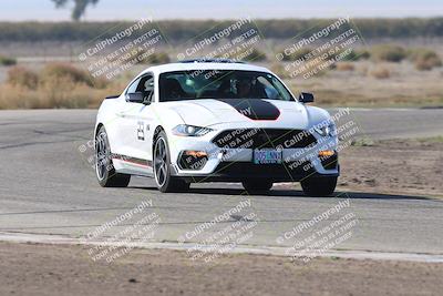 media/Nov-01-2025-PCA Central Coast (Sat) [[5e27ded23e]]/White Group/Grapevine/